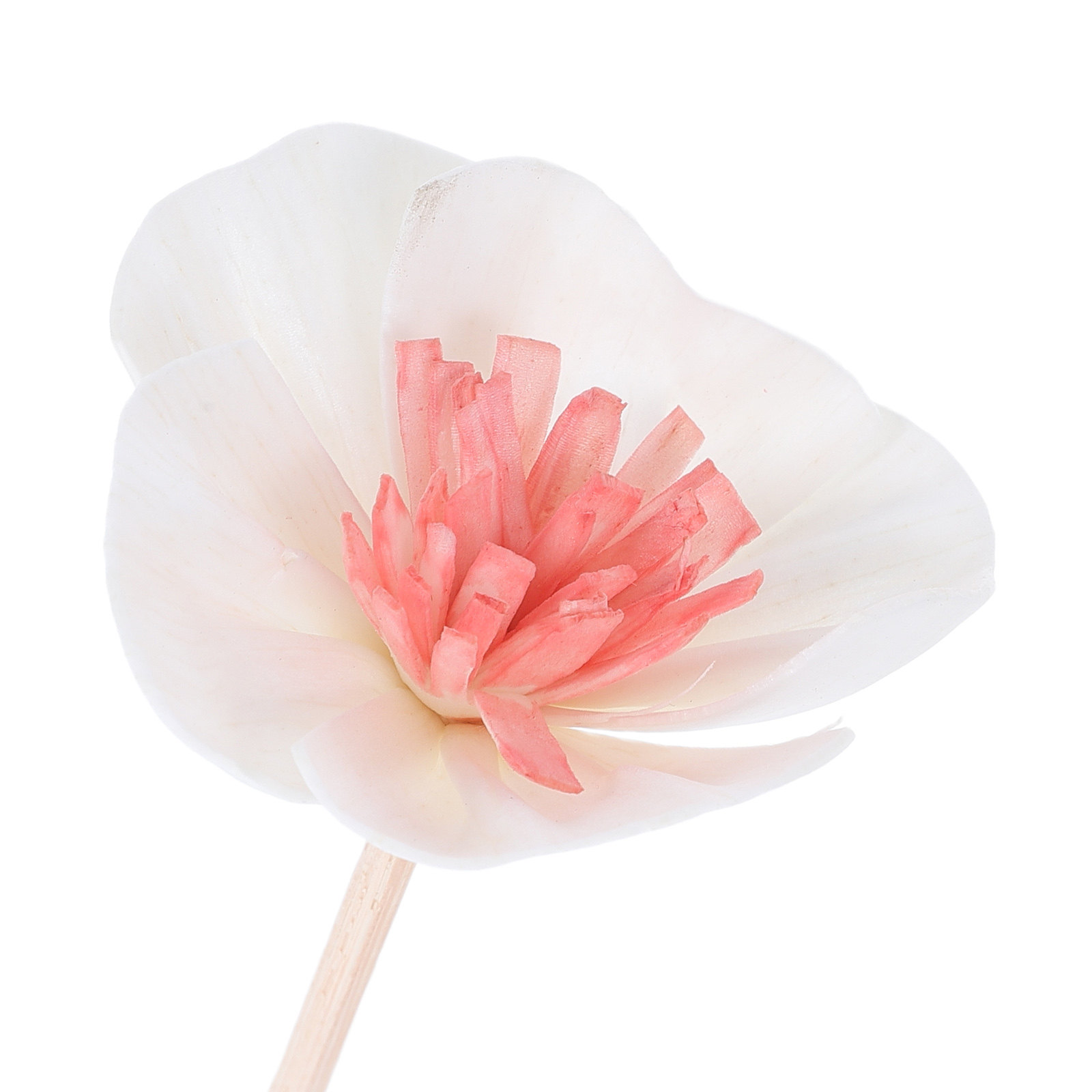 10Pcs Essential Oil Diffuser S - Home Fragrance Oil Diffuser recension och pris