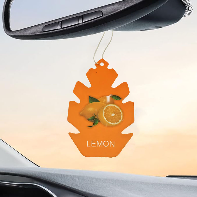 4/8/16pcs Pack Leaf - Shaped C - Home Fragrance No 4 recension och pris