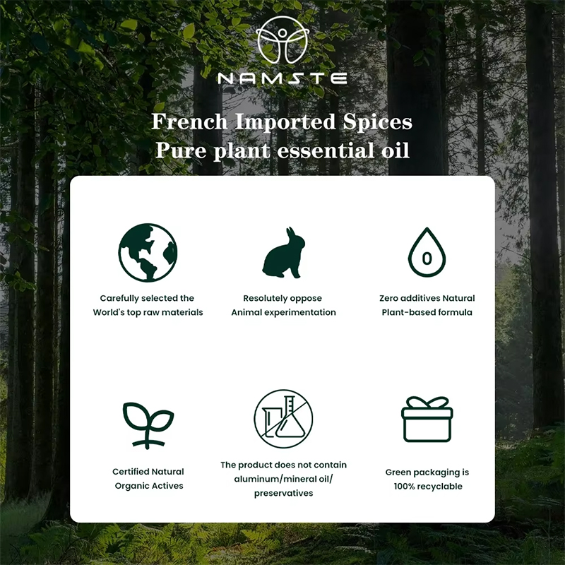 NAMSTE 100ML Oil Diffuser Esse - Home Fragrance Diffuser Electric recension och pris